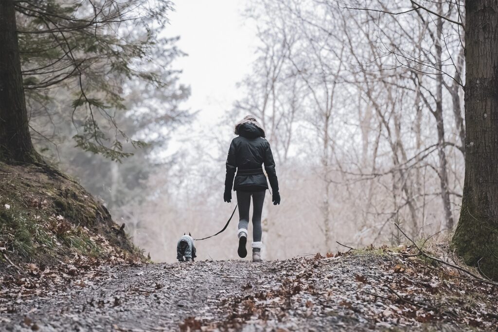 A small dog and person walk in the woods together