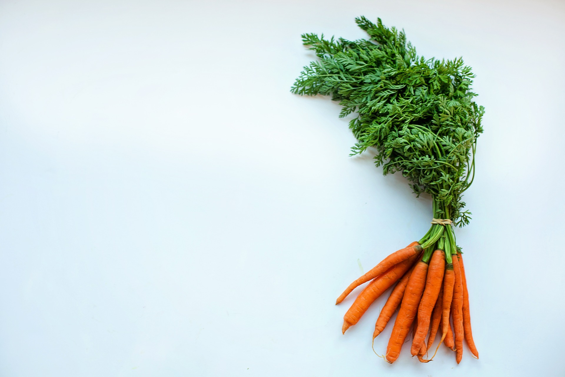 Bunch of carrots on a white background