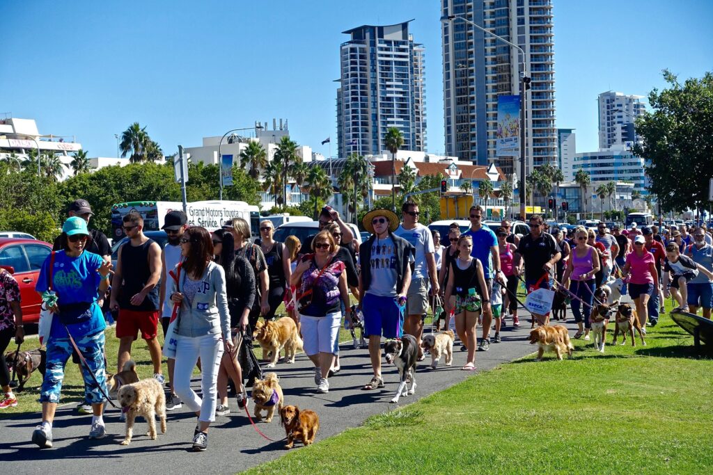 crowd of people walking dogs in city
