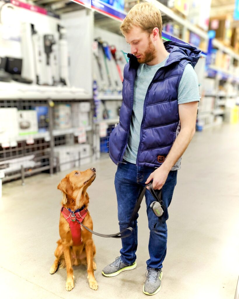 Dog on leash sits next to his human. He looks up at his human while they are in a store together.