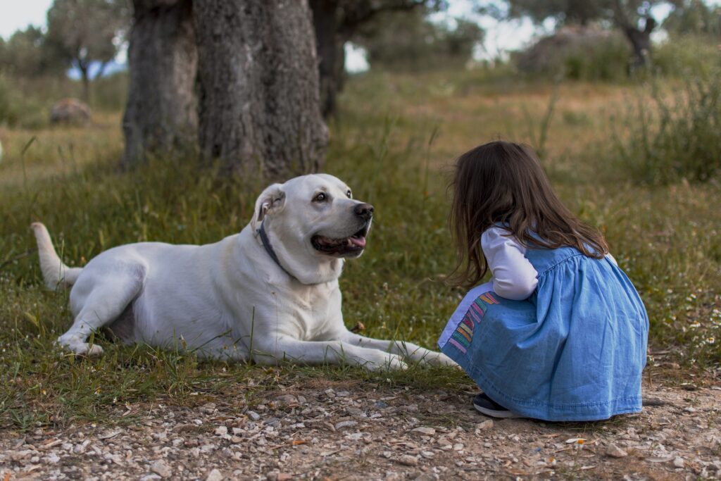 Child squatting in front of a dog lying down face to face